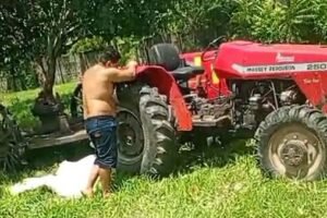 crianca-de-11-anos-morre-apos-cair-de-trator-e-ser-atingida-por-rocadeira-em-itaitinga,-no-ce