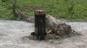 possivel-petroleo-encontrado-em-poco-no-ceara-nao-podera-ser-explorado-pela-familia