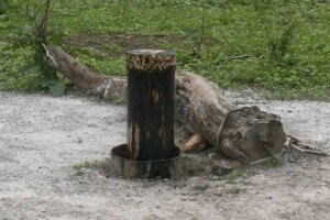 possivel-petroleo-encontrado-em-poco-no-ceara-nao-podera-ser-explorado-pela-familia